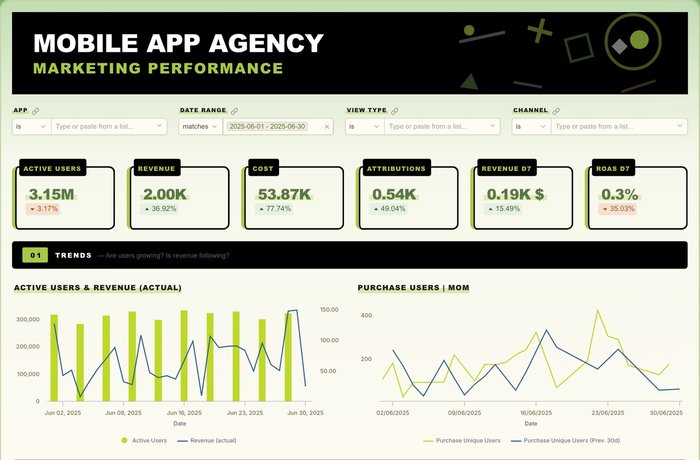 Mobile App Marketing Performance preview